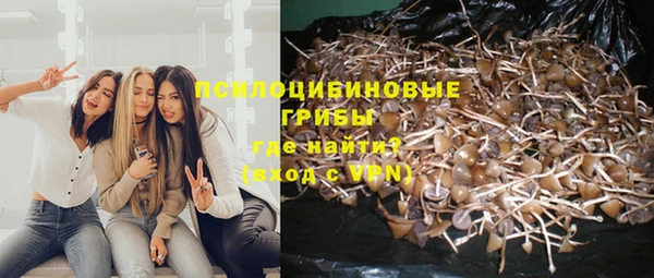 крисы Липки