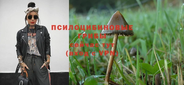 каннабис Майский