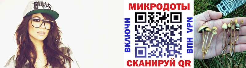 Псилоцибиновые грибы Psilocybe  MEGA зеркало  Ядрин 